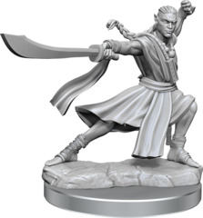 Elf Monk Male (Frameworks - W01)